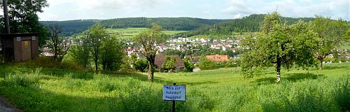 Blick auf Rohrdorf im Nagoldtal